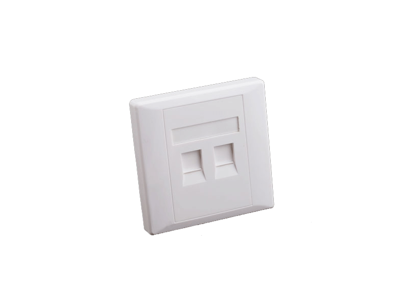 CAT 5 DUAL FACE PLATE