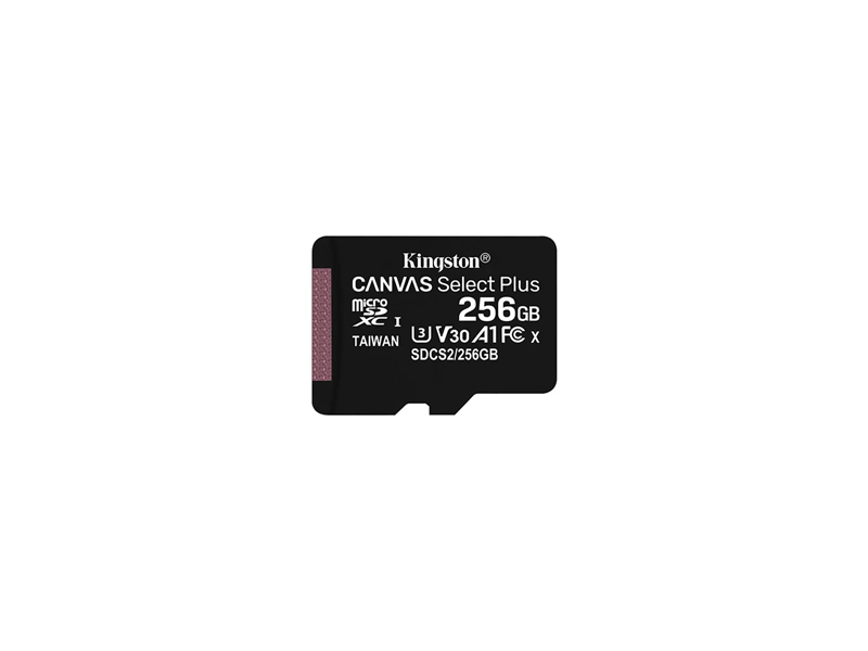 KINGSTON 256GB CLASS 10 MICRO SD