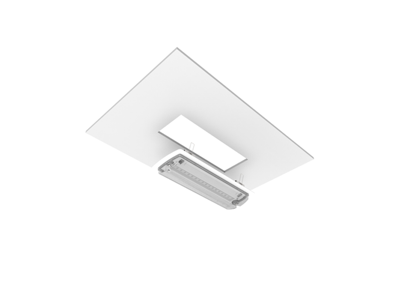 CQR LED EMERGENCY BULKHEAD PLUS 4W MAINTAINED IP65 LIFEP04